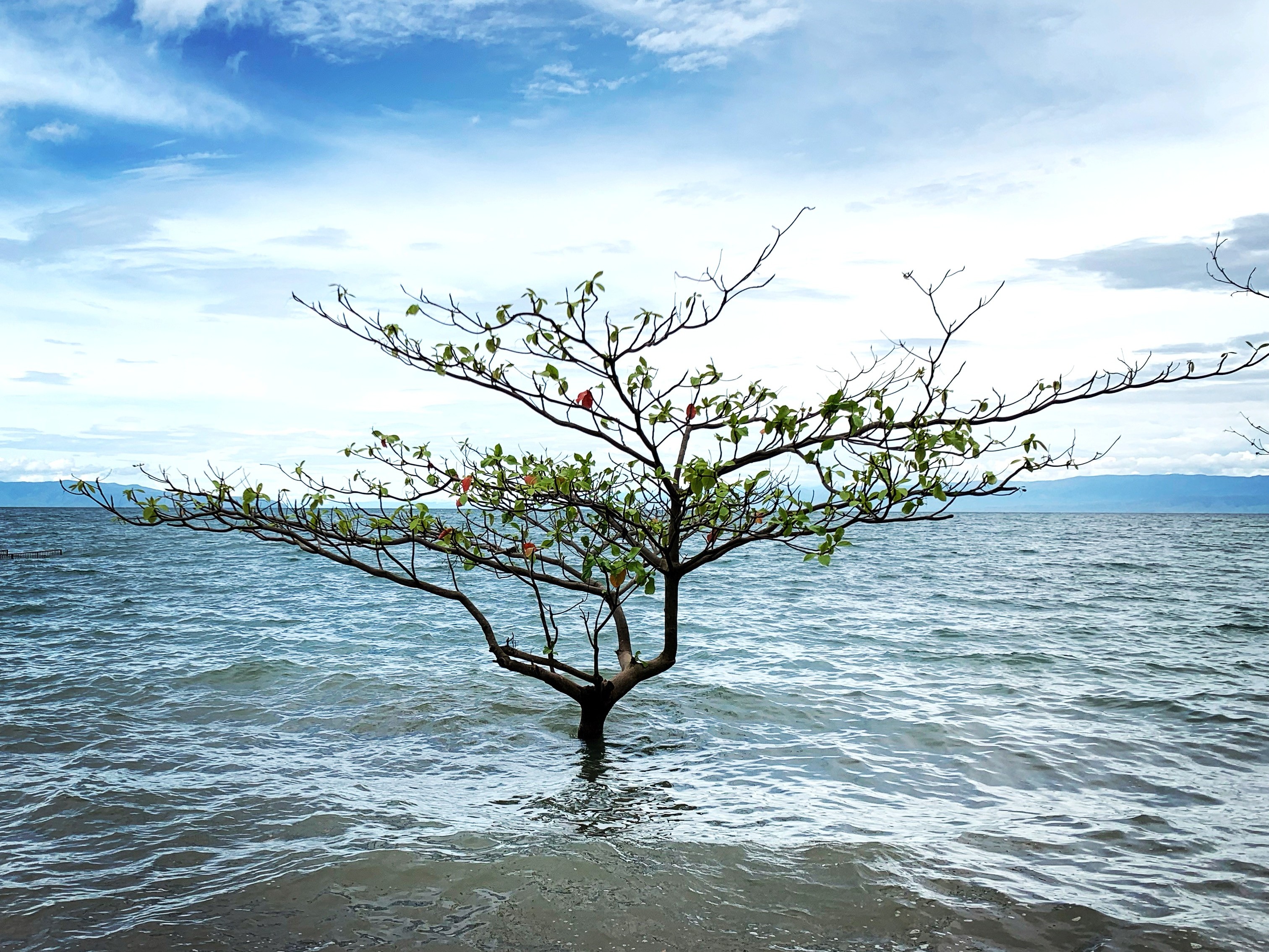 Café philo du vendredi 17 octobre: "Solitude, qu'en dit la littérature contemporaine?"